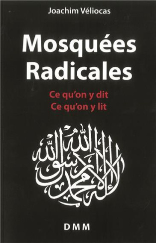 Mosquées radicales. Ce qu'on y dit, ce qu'on y lit