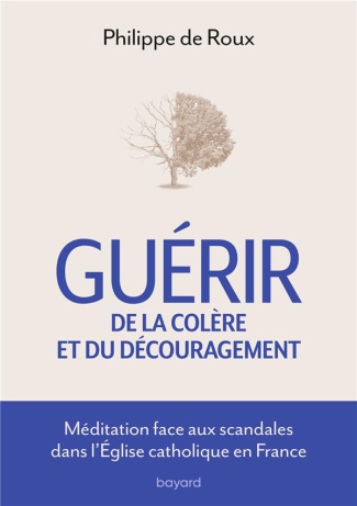 Guérir de la colère et du découragement. Méditation face aux scandales de l'Eglise Catholique