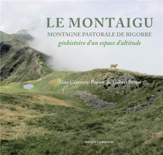 Le Montaigu, montagne pastorale de Bigorre. Géohistoire d'un espace d'altitude