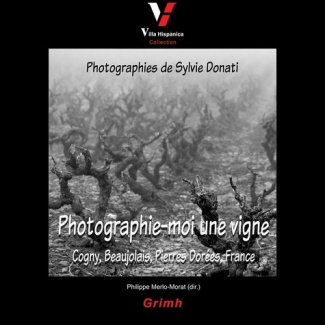 Photographie-moi une vigne. Cogny, Beaujolais, Pierres dorées, France