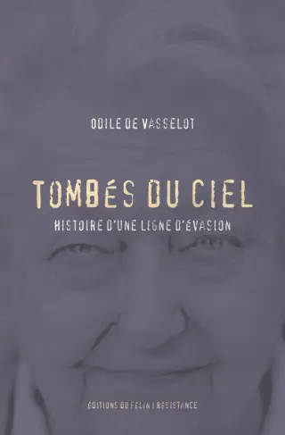 Tombés du ciel. Histoire d'une ligne d'évasion