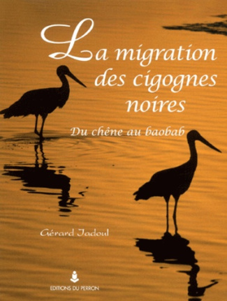 La migration des cigognes noires. Du chêne au baobab