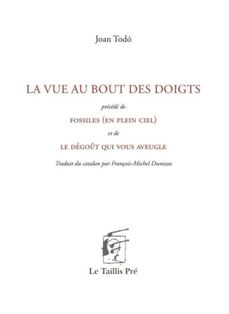 La vue au bout des doigts