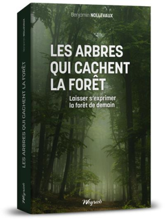 Les arbres qui cachent la forêt. Laisser s'exprimer la forêt de demain