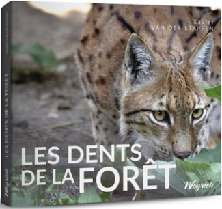 Les dents de la forêt