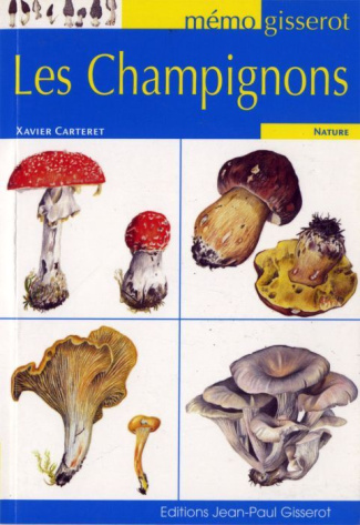 MEMO - CHAMPIGNONS (LES) VOIR GI555