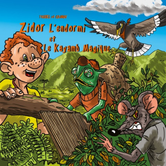 Zidor l'endormi et le Kayamb magique