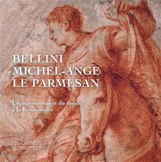 Bellini, Michel-Ange, Le Parmesan. L'épanouissement du dessin à la Renaissance