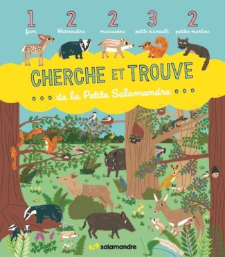 Cherche et trouve de la Petite Salamandre