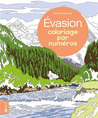 Evasion