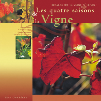 Les quatre saisons de la vigne