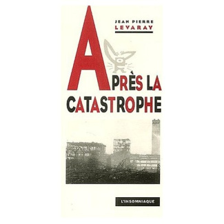 Après la catastrophe