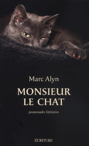 Monsieur le chat