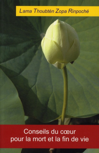 Conseils du coeur pour la mort et la fin de vie