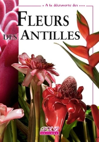 À la découverte des... fleurs des antilles