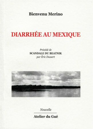 Diarrhée au Mexique