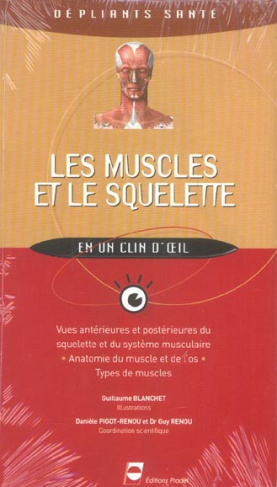 Les muscles et le squelette