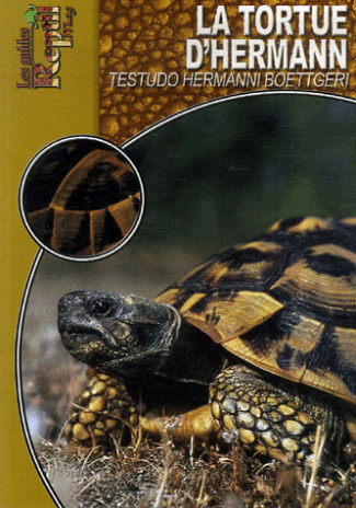 La tortue d'Hermann orientale. Testudo Hermanni Boettgeri