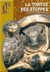 La tortue des steppes. Testudo Horsfieldii