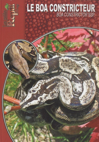 Le boa constricteur. Boa constrictor