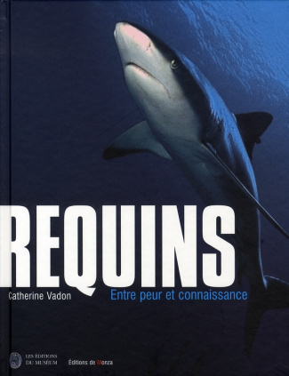 Requins. Entre peur et connaissance