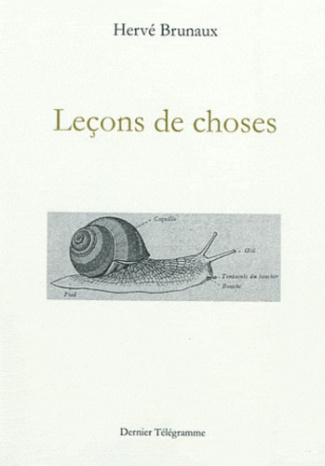 Leçons de choses