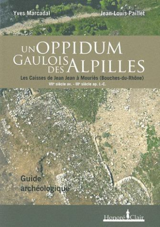 UN OPPIDUM GAULOIS DES ALPILLES