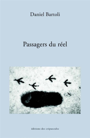 Les passagers du réel. Pour un traitement possible de la psychanalyse
