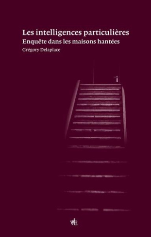Les Intelligences particulières. Enquêtes sur les maisons hantées