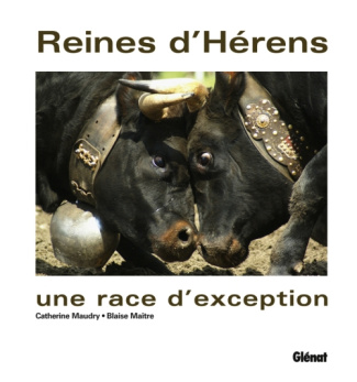 Reines d'Hérens, une race d'exception