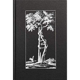 Une histoire de l'orthopédie. L'hôpital orthopédique de la Suisse romande dans le contexte internati