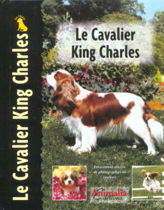Le Cavalier King Charles