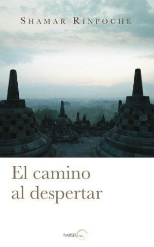 El Camino Al Despertar