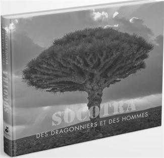 Socotra . Des dragonniers et des hommes, Edition français-anglais-arabe