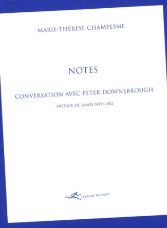 Notes : conversation avec Peter Downsbrough