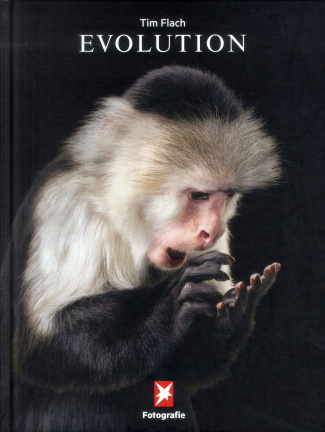 Fotografie N° 74 : Evolution