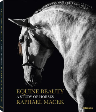Equine beauty. A study of horses, édition français - anglais - allemand - espagnol