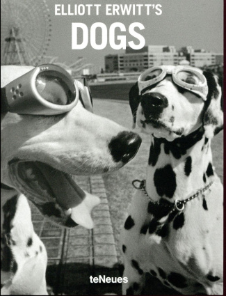 ELLIOTT ERWITT'S DOGS