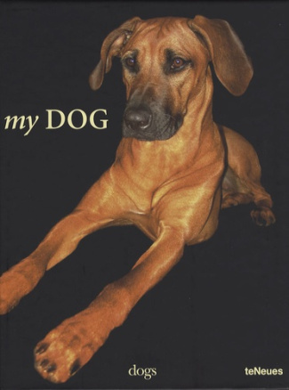 My dog
