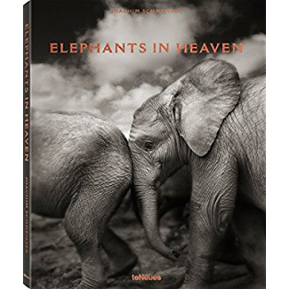 Elephants in Heaven. Edition français-anglais-allemand