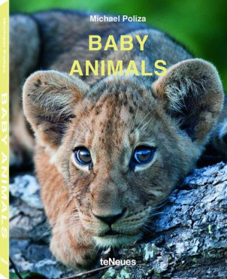 Baby animals. Edition français-anglais-allemand