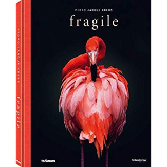 FRAGILE, PEDRO JARQUE KREBS