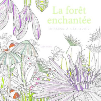 La forêt enchantée