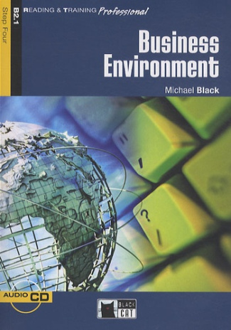 BUSINESS ENVIRONMENT B2.1-NIVEAU ERK