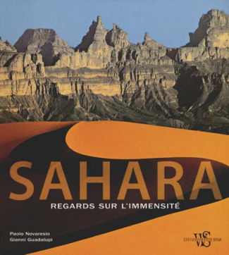 Sahara. Regards sur l'immensité