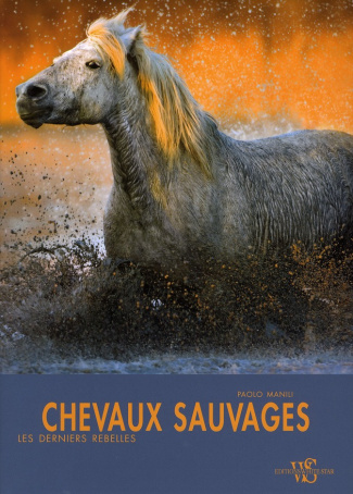 Chevaux sauvages
