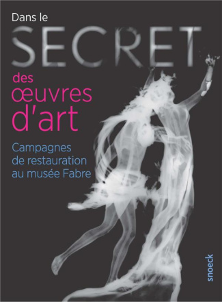 Dans le secret des oeuvres d'art. Campagnes de restauration au musée Fabre