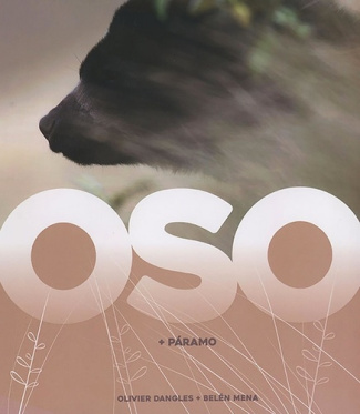 Oso.   Páramo