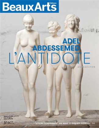 Adel Abdessemed, L'Antidote au MAC Lyon