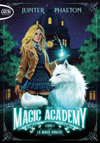 Magic Academy Tome 1 : La magie oubliée